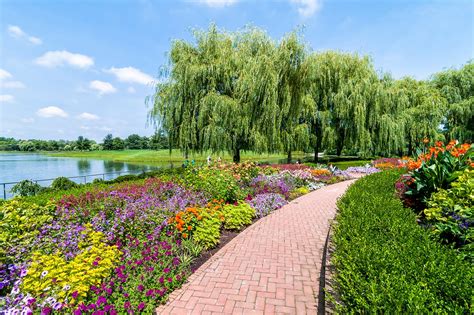 Botanic gardens chicago - Mother's Day Brunch. Back to Calendar. Mother's Day Brunch. Sunday, May 12, 2024Seatings at 9 a.m., 11 a.m., and 1 p.m. Tickets go on sale to President’s Circle …